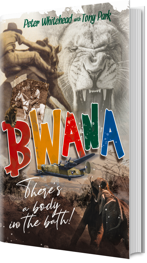 Bwana - Tony Park