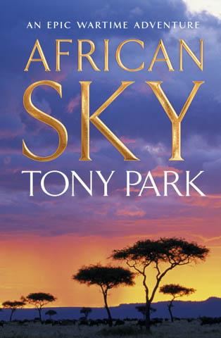 Tony Park - African Sky
