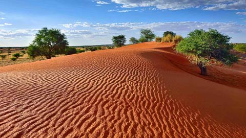 Tony Park - Books of Africa